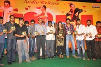 Nuvva Nena Audio Launch